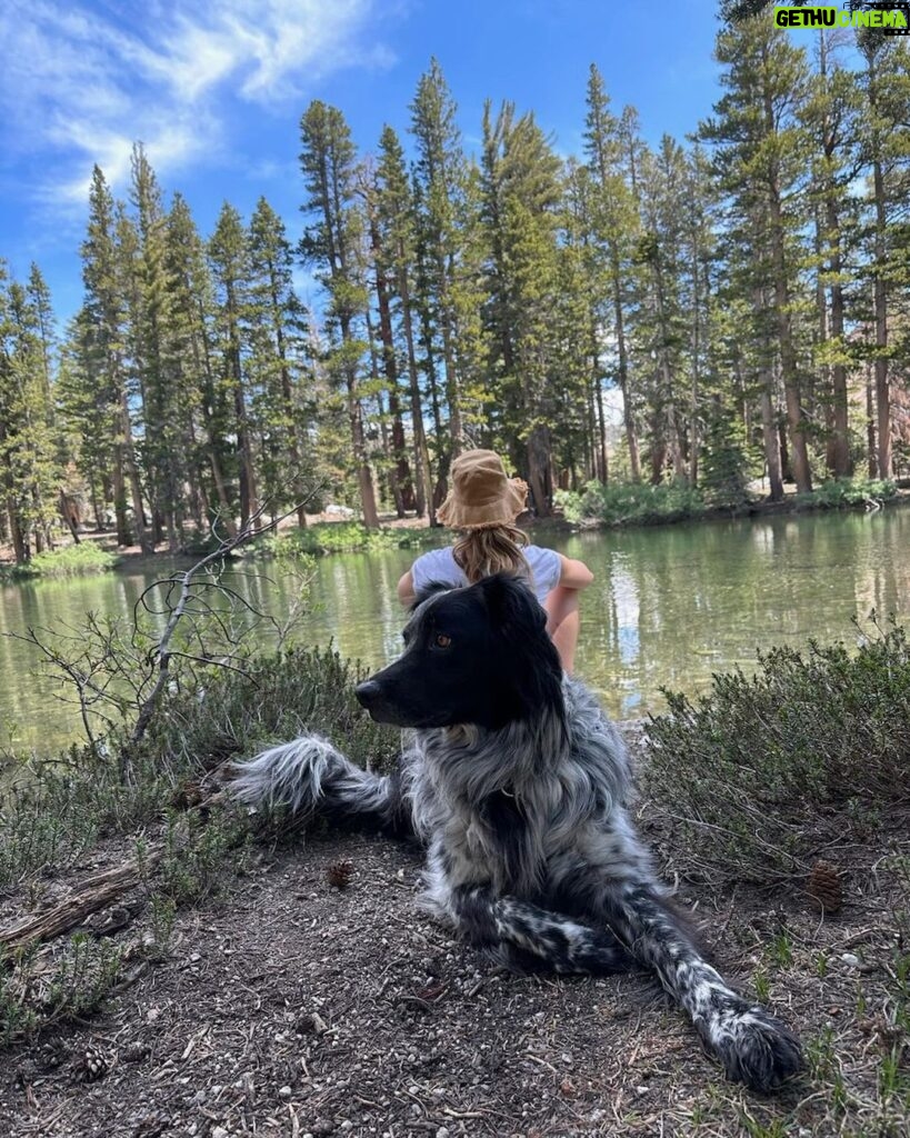 Lucy Fry Instagram - When your best mate watches your back 🐶 And other mountain treats 🏔