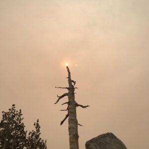 Lucy Fry Instagram - Smoke from the wild fires came over our camp the last morning, and once again, brought climate change into forefront of thought. Inhaling the smoke, there’s no denying it is here. Leaving the camp, we passed Marmots, deers, chipmunks and coyotes. Many of their species already lost on the other side of the range. 
To solve the twin crisis of biodiversity loss and climate change @oneearth has come up with a plan- the Global Safety Net. This is an outline of the areas world wide that need to be protected to ensure a stable future for nature, and humanity. Take a look at the website on my page to learn more about the solutions offered by the global safety net 🌎