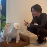 Lucy Hale Instagram - #petsmartpartner I sensed they were up to something when I was out of the house…My little duo is loving their new things from the Nate + Jeremiah Collection for @PetSmart! If you’re looking to elevate your fur angel’s home decor, head on over to PetSmart 🐾