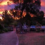 Luke Arnold Instagram - Straya