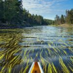 Luke Mullen Instagram - TW: Shameless Thirst Trap Boundary Waters, 4 million acres of the most beautiful and pristine habitat in the United States, will soon become a waste site for a mine. This will not only kill innumerable plants and animals, but HUMANS too. It’s seriously f*cked up. But GUESS WHAT?? We can save this place. Basically, all we have to do is write enough letters telling the government to not open up this spot to mining by January 19th, and they are legally obligated to review the comments we send in. Click the link in my bio (it takes 1 minute) to sign the petition and tell the government we want to SAVE THIS PLACE!!!!!! (Link in bio to sign and learn more!!) (Photo creds to the talented @zach_dink77