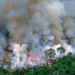 Luke Mullen Instagram - I’m sure a lot of you are feeling scared hearing that the #amazonrainforest has been on fire for the last 16 days, and I am too. The Amazon is the earth’s lungs, and not only produces 1/5 of the worlds oxygen, but is one of the largest carbon sink. This means these fires are releasing that carbon into our atmosphere right now, and this will effect everyone. BUT there still is so much you can do right now: SWIPE to see some ways that will actually make a difference! HERE ARE A FEW IMPORTANT NOTES, BUT I BEG YOU TO LOOK MORE INTO THESE AND DONATE! - Donate to @rainforestactionnetwork to protect an acre of the Amazonian rainforest. - For an emergency response to the Amazon, donate to @amazonfrontlines who protect millions of acres of land in the Amazon - Donate to the @rainforesttrust to help buy land in the rainforest. Since 1988, the organization has saved over 23 million acres and counting. - STOP EATING MEAT (especially beef). Meat is responsible for about 10% of the global emissions - Make sure you are buying @rainforestalliance certified products, and donate to them because they make sure farming practices are sustainable!
