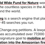 Luke Mullen Instagram - I’m sure a lot of you are feeling scared hearing that the #amazonrainforest has been on fire for the last 16 days, and I am too. The Amazon is the earth’s lungs, and not only produces 1/5 of the worlds oxygen, but is one of the largest carbon sink. This means these fires are releasing that carbon into our atmosphere right now, and this will effect everyone. BUT there still is so much you can do right now: SWIPE to see some ways that will actually make a difference! HERE ARE A FEW IMPORTANT NOTES, BUT I BEG YOU TO LOOK MORE INTO THESE AND DONATE! - Donate to @rainforestactionnetwork to protect an acre of the Amazonian rainforest. - For an emergency response to the Amazon, donate to @amazonfrontlines who protect millions of acres of land in the Amazon - Donate to the @rainforesttrust to help buy land in the rainforest. Since 1988, the organization has saved over 23 million acres and counting. - STOP EATING MEAT (especially beef). Meat is responsible for about 10% of the global emissions - Make sure you are buying @rainforestalliance certified products, and donate to them because they make sure farming practices are sustainable!