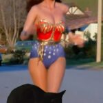 Lynda Carter Instagram - I have a new sidekick. 🐱 @matatogames #maxwellthecat