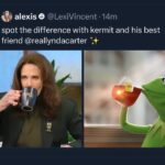 Lynda Carter Instagram - That’s none of my business, though. @kermitthefrog 😜 @lexivincent