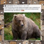 Lynda Carter Instagram - Fat Bear Week starts on Wednesday! What was originally a joke is now a tradition I enjoy following every year. How cool is it that we can learn about wildlife conservancy and have fun in the process? It doesn’t take place on Fire Island or in P-town, but that’s okay. 🏳️‍🌈 @nationalparkservice #fatbearweek