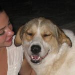 Madelyn Cline Instagram - mykonos martini massage mpuppy