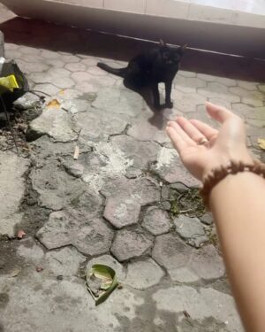 Madhurima Basak Instagram - What is a lover of animals called?

A person who loves animals or pets. animal lover. zoophilist. animal person.

I’m zoophilist… 😃

#zoophilist #animallovers #dogs #dogsofinstagram #cats #catsofinstagram #straykids #pets #puresouls #mylove #mypeace
