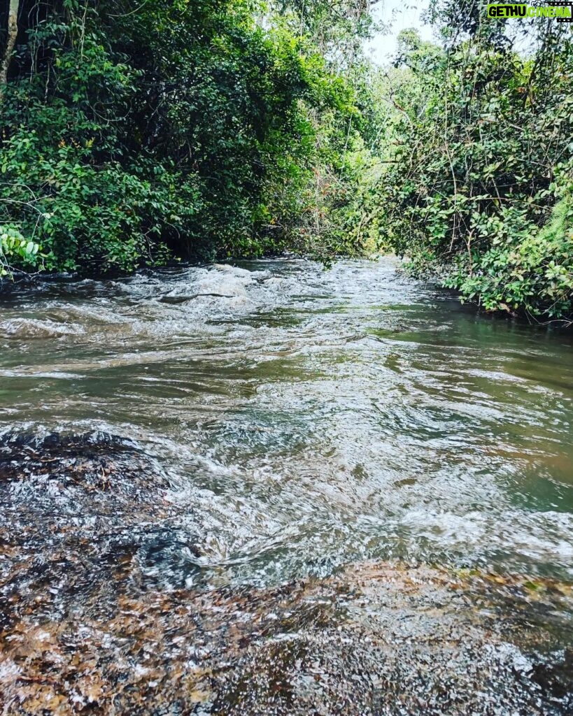 Mafalda Matos Instagram - A Mogli é feliz na selva 💚 Cascata de Calandula 🇦🇴 Que viagem... . . . #angola #calandula #cascata #mogli Calandula, Lunda Norte, Angola