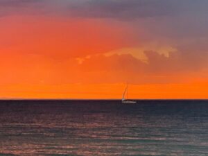 Magda Szubanski Instagram - Oh wow!! Incredible sunset and lightning over the bay 
🌅 🌩⛈ Hey @wendysharpeart they remind me of the colours you used in my portrait!!