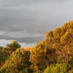 Magda Szubanski Instagram - Found the pot o’ gold at the end of the rainbow!! It’s right here! In my scone!! What a metaphor! Winter is coming and that chill wind is blowing straight off the antarctic. It’s drizzling and I didn’t feel like a walk..but I thought: “what would Ruth say?” She’d say, “Mags, go out and experience the rich wonders of the world!” And look what I was rewarded with! A glorious #RuthRainbow #rainbow 🌈🙏🌸💕 #carpediem