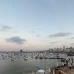 Magdy El Hawary Instagram - #ياما_في_الجراب_يا_حاوي🎭