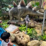 Mai Hakase Instagram - 名護パイナップルパーク🍍 暑さが苦手な息子は、 パイナップル畑をトゥクトゥク🛺に乗って進んだり、植物園をまわるのも暑すぎてずっとぐったりで無表情でした😅涼しいところでパイナップルかき氷食べるのと恐竜エリアだけはテンションが上がってました😂 #名護パイナップルパーク #nagopineapplepark #나고파인애플파크 名護パイナップルワイナリー