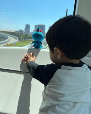 Mai Hakase Instagram - 「I love you mama」と最近言ってくれるようになって、最高級の胸キュンを感じている毎日です🥰
👦2歳1ヶ月となり昨日は、おいてあったズボンを自分ではいて得意げな顔をしていました🥺毎日できることも増え、言葉も増え、色んなことに興味が出て本当に驚きます✨
《成長記録》
息子は一歳前くらいから数字が好きで外でもどこでも数字を見つけると指を指すようになりました☝️その度に数字を言っていたら、1歳3ヶ月では12までの数字を日本語と英語で理解してて指差しができるようになり、最初に意味を持って発した言葉は「5」でした✨そして数字の虜のようになり一歳9ヶ月では日本語英語で100まで数えられるようになり、今は「たしざん！」といって足し算やってます✌️
日本語と英語の歌も歌えるようになり、今は（Twinkle twinlke little star）（ABC song）（HAPPY BIRTHDAY SONG）がお気に入り❤️乗り物も大好きで、外で大きい乗り物を見つけると、「ゴミ収集車！タンクローリー」と叫んで喜びます😊レゴで郵便車や消防車を作っています🚒
最近の口癖は「Mama How are you」「ママがいい！」「ママ、腰いたい！」
お友達と遊ぶのも好きで、
じぶんより小さい子に会うと、「あかちゃん！」といってよしよししようとする😊
滑り台の順番も小さい子に譲ってあげてました（感動）

ざっと成長記録としてここに残しました❣️
数字に関してとても早いですが、幼児期の成長は個人差が大きいので、早いのが凄いとかではないです☺️息子の初めての寝返りは9ヶ月でした（4ヶ月くらいからすると言われている）🤗これからも好きなことを伸ばしてあげれたらなーと思います❣️

#成長記録
#2歳男の子 
#令和3年男の子
#2歳1ヶ月