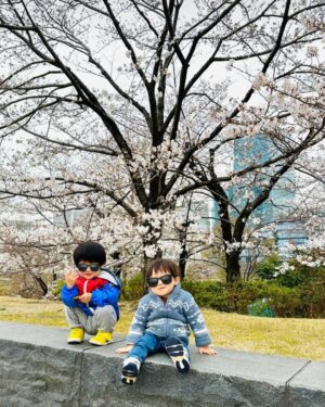 Mai Hakase Instagram - 今年も桜きれいだったなぁ🌸
毎年、自分の誕生日頃は寒い冬からだんだん暖かくなり桜が咲いて外を歩きたくなるような、そんな春の訪れを感じられるこの時期が（花粉症も無いので）1年で1番好きです🥺❤️

#桜
#sakura