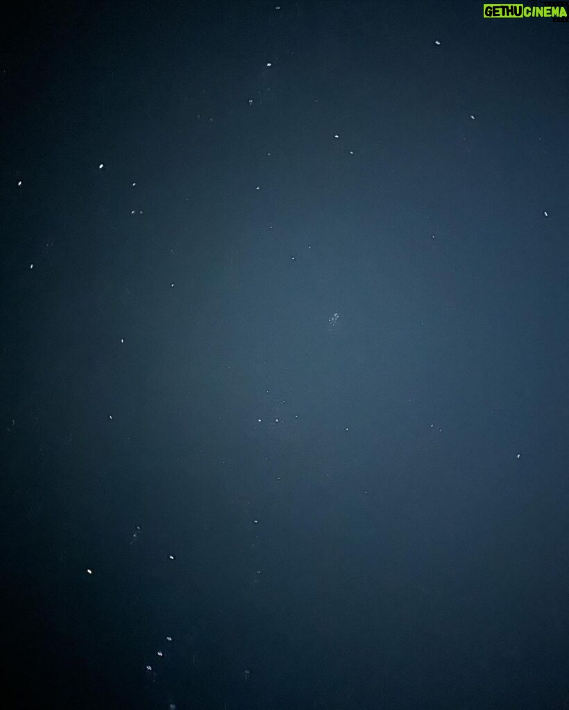 Maki Tamaru Instagram - 昨日の東京は 雷が鳴ったかと思ったら 雪が降ったりと なかなか凍える一夜でした。 いただいていたご質問を 少しずつ お戻しして行けたらと思います🙏。 大好きな雪の空間にいる時は 朝から夜までじっくりと景色を 味わいながら 大切に時間を楽しみます。 夜はランプを持って 溢れおちて来そうな 星空をながめながら 恐竜兄弟と夜散歩。 私は昔からなぜか 雪景色や、海の地平線などを見ている時間が 脳と心のデトックスできるようで とても大切な時間でもあります。 🦖🦕たちと みんなで夜散歩をしていたら 素敵なレストランを発見。 早速、次の日に予約を取って、お邪魔しました あたたかなおもてなし、美味しいお料理 素敵な出会いに感謝🙏 ご質問をいただいていたロッジは 東桜岡というエリアにある @norheim_sakuraoka です。 シャレーから、夜のお散歩をしているときに 偶然見つけた、かわいい山小屋のような レストラン @goodlife_sakuraoka は こちらのロッジの方が 経営されているそうで とてもセンスの良い素敵なレストランと ロッジでした。 ご質問をいただいていた ダウンジャケットは @moorer_official です マイナス（−）以上を超える環境に存在してると ムーレダウンジャケットの 実力をものすごく実感、体感✨ 羽毛布団に包まれているみたいに 暖かくて気持ちが良く − 10度を超えた旭川時間に大活躍。 スキージャケットの下には 何を着ている？ と言うご質問を以前いただいておりました 私はUNIQLOの極暖ヒートテックの上に ユニクロのタートルセーターを着ています。 もっと言えば、下もUNIQLOヒートテックタイツでUNIQLOさまさま🙏 足元はスキー用のずれないタイプのソックス🧦 　（⛷️中、意外の時間は）ソックスの上から まるでこたつソックス または　カイロソックス でW防寒　 手元は⛷️中もまるでこたつソックスシリーズの レッグウォーマーを アームウォーマーとして使い 手首を守っています。 この年になり、冷えがいろんなところに影響する。。。 冷えがたまると 月のものがなかなか 激しく、（重い、、、） 確実に、若かりし頃とは変わりつつある気配。。。 (￣ー￣) 歳とはたたかえない、しかたない、、、。 てなことで 気をつけるしかない。。。 寒い場所にいる時は 出来るだけ首、手首、足首は特に 冷やさない様に気をつけるようになった４５歳