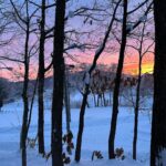 Maki Tamaru Instagram – 年末年始の我が家は、
雪山で
こもり生活をしておりました。

朝焼けが綺麗で、空がピンクに染まる時間に
ゆっくり薪に火をくべ
静かにコーヒーを飲んでいると

🐿️りすが遊びにやって来る
そんな北海道、旭川。
初めてお邪魔した旭川に恋をした。

いつか、クラウンのライセンスが取りたいと
目を輝かせ
真剣に頑張っている長男⛷️

高すぎる目標だが、、、（；￣ェ￣）
夢を持つということはとても良いことだ。

（スキーをしていて1番楽しい瞬間は？
と聞くと、できないことができるようになった時
と答える
かなり不器用だけれど、真面目な長男🦕

そして
同じ質問に
次男🦖は

⛷️の合間のホットチョコレートの時間！

と短髪入れずに
満面の笑みで答える。笑

それ、もはやスキーじゃない🤪）

とはいえ
お兄ちゃんの姿を見ながら

後を⛷️ついて回る
目標全くなしの
次男🦖も
家族とのスキー旅は楽しいようだ。

若かりし頃から⛷️LOVEで
雪ないエリアの大阪から足繁く
雪山に通った
一級ライセンスの父は

孫が頑張っている姿を見て嬉しくて
一緒に滑ってはみたものの

歳を考え、もし何かあったら、みんなに迷惑をかけると
一緒に滑りたいだろうのに
共に滑ることを諦め、　少しさみしそうだが
一つの区切りをつけた。

4年前に経験ゼロからのスタートと言っていいほど
（1人でリフトに乗ることもできず
皆さんご迷惑をおかけしました。🙏）スキーの経験がない
中で、４１歳スタートで、スキーを始めた私。

北海道うまれで
これといって苦労せずとも
なんとなく滑れる
全力我流滑りの相方さん

そして朝一から
リフトがストップするまで
ゲレンデにいる
こんなメンバーでの
スキー旅に行っても、断固として一切
滑ろうとしない、わが道を行くの私の母。

家族の個性が散らかってます

なんであれ
我が家の年末年始は、これからもしばらくは
⛷️メインとなりそうな予感。

#子供達との時間 
#家族の記憶
#年始の思い出
#🦕🦖