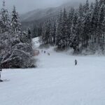Maki Tamaru Instagram - 北海道生まれの相方さんは いくらでも滑りたいのでしょうけど 大阪府、雪少ないエリア生まれの私からしたら ずいぶん必死でついていかないと 相方さんと🦕🦕恐竜たちに 辿り着けないのです。。。(￣^￣)ゞ (๑•ૅㅁ•๑) もう少し気遣ってください💢 なので、休憩すると言って1度座ったら 満足いくまで絶対に動きませぬ💪