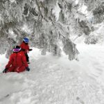 Maki Tamaru Instagram - 北海道生まれの相方さんは いくらでも滑りたいのでしょうけど 大阪府、雪少ないエリア生まれの私からしたら ずいぶん必死でついていかないと 相方さんと🦕🦕恐竜たちに 辿り着けないのです。。。(￣^￣)ゞ (๑•ૅㅁ•๑) もう少し気遣ってください💢 なので、休憩すると言って1度座ったら 満足いくまで絶対に動きませぬ💪