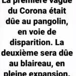 Manuela Lopez Instagram - 😡#cretin #coronavirus #reflechir #juste #bonsens
