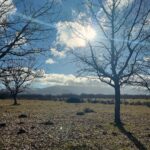 Manuela Velasco Instagram - La suerte de poder empezar el año con la familia, una sopa y un paseo por el campo. Y con la tranquilidad y la alegría de tener trabajo 🙏🏻 #bienvenido2024