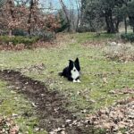 Manuela Velasco Instagram - La suerte de poder empezar el año con la familia, una sopa y un paseo por el campo. Y con la tranquilidad y la alegría de tener trabajo 🙏🏻 #bienvenido2024