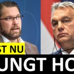 Marcus Oscarsson Instagram - JUST NU: SD GÅR UT MED TUNGT HOT – KOPPLAT TILL VIKTOR ORBAN ✅ Läs genom att klicka på mitt namn ovanför bilden och sen den blå länken.⁣⁣⁣⁣⁣⁣⁣⁣⁣⁣⁣⁣⁣⁣⁣ ✅ Eller gå direkt in på marcusoscarsson.se