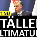 Marcus Oscarsson Instagram - KONTROVERSIELLT UTTALANDE: VIKTOR ORBAN STÄLLER ULTIMATUM ✅ Läs genom att klicka på mitt namn ovanför bilden och sen den blå länken.⁣⁣⁣⁣⁣⁣⁣⁣⁣⁣⁣⁣⁣⁣⁣ ✅ Eller gå direkt in på marcusoscarsson.se