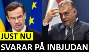 Marcus Oscarsson Instagram - JUST NU: EFTER ORBANS INBJUDAN – NU SVARAR STATSMINISTERN 

✅ Läs genom att klicka på mitt namn ovanför bilden och sen den blå länken.⁣⁣⁣⁣⁣⁣⁣⁣⁣⁣⁣⁣⁣⁣⁣

✅ Eller gå direkt in på marcusoscarsson.se