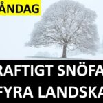 Marcus Oscarsson Instagram - MÅNDAG: KRAFTIGT SNÖFALL I FYRA LANDSKAP ✅ Läs genom att klicka på mitt namn ovanför bilden och sen den blå länken.⁣⁣⁣⁣⁣⁣⁣⁣⁣⁣⁣⁣⁣⁣⁣ ✅ Eller gå direkt in på marcusoscarsson.se