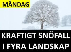 Marcus Oscarsson Instagram - MÅNDAG: KRAFTIGT SNÖFALL I FYRA LANDSKAP

✅ Läs genom att klicka på mitt namn ovanför bilden och sen den blå länken.⁣⁣⁣⁣⁣⁣⁣⁣⁣⁣⁣⁣⁣⁣⁣

✅ Eller gå direkt in på marcusoscarsson.se
