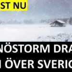 Marcus Oscarsson Instagram - JUST NU: SNÖSTORM DRAR IN ÖVER SVERIGE ✅ Läs genom att klicka på mitt namn ovanför bilden och sen den blå länken.⁣⁣⁣⁣⁣⁣⁣⁣⁣⁣⁣⁣⁣⁣⁣ ✅ Eller gå direkt in på marcusoscarsson.se
