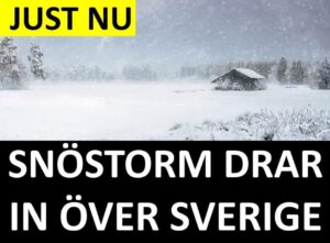 Marcus Oscarsson Instagram - JUST NU: SNÖSTORM DRAR IN ÖVER SVERIGE

✅ Läs genom att klicka på mitt namn ovanför bilden och sen den blå länken.⁣⁣⁣⁣⁣⁣⁣⁣⁣⁣⁣⁣⁣⁣⁣

✅ Eller gå direkt in på marcusoscarsson.se