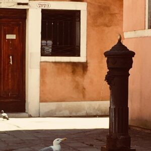 Marek Němec Instagram - Kazdy den clovek potrebuje trochu letet,mirit vzhuru a neztracet kontaktaz se zemi.Tady mate Livingstonea Racka made in Venice;)Pekne se mejte.Jo, a ctete!! 🤓