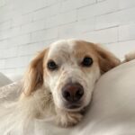 Maria Venture Instagram - as vezes esqueço que o sorriso é a chave Vários Lugares Ao Mesmo Tempo