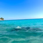 Maria Venture Instagram - a gente de novo no Caribe. de férias. do terceirão pra vida. dos galhos secos de uma árvore qualquer, onde ninguém jamais conseguirá estragar essa amizade. rs. #amigosparasempre #frasesdeamigos #naoentendialegenda #gabiweekend Curacao Caribe