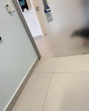 Maria Venture Instagram - oi zenti ieu fui pro mato e cumi um negoço gostoso que nau podia ai depois minha barrega doieu e fiz coco de sangue e tive que ficare varios dias no medico mas ja fui embora de la to muite feliz viu, obrigade todos que gustam de min queria subir no colo de voçes todos
o meu ermao antonio ta aqui tamo no sofá