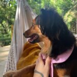 Maria Venture Instagram - viemos os três ficar uns dias no meio do mato 🫶🏻 Meio do mato