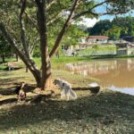 Maria Venture Instagram - viemos os três ficar uns dias no meio do mato 🫶🏻 Meio do mato