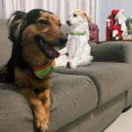 Maria Venture Instagram - meu amor todo é deles. feliz natal, que vocês possam estar junto daqueles que amam de verdade ♥️🎄