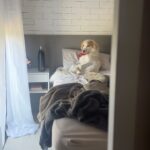 Maria Venture Instagram - dezembro não pegou leve nas emoções sabe……..