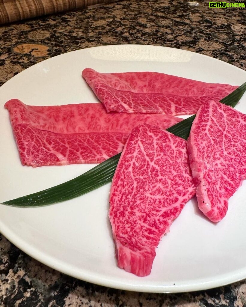 Marina Yamada Instagram - . 妹と美味しいお肉食べてきた♡ うしごろのお肉ほんとにおいしい..🥺 @ushigoro_yakiniku 季節限定特別コースたべました！🍁 ボリューム満点のコースで 極みのタン、ユッケ、シャトーブリアンとかとか... おなかいっぱい食べました♡ 美味しいお肉食べてお酒も飲んで幸せだった〜〜 お店の雰囲気も落ち着いてて過ごしやすかったので 妹とひたすら食を楽しみました..🤍 みんなも是非行ってみてね·͜· ︎︎ᕷ #うしごろ貫 #日本酒 #恵比寿焼肉 #五反田焼肉 #焼肉 #PR 焼肉と和酒 うしごろ 貫