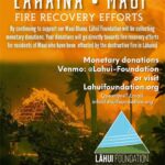 Mark Dacascos Instagram - Lahaina, Maui #firerecovery Repost from @lahuifoundation • By continuing to support our Maui Ohana, Lāhui Foundation will be collecting monetary donations. Your donations will go directly towards fire recovery efforts for residents of Maui who have been effected by the destructive fire in Lāhainā #lahaina #lahainamaui #hawaii #maui #fire #firerecovery #alohaaina #lahui #lahuifoundation #808