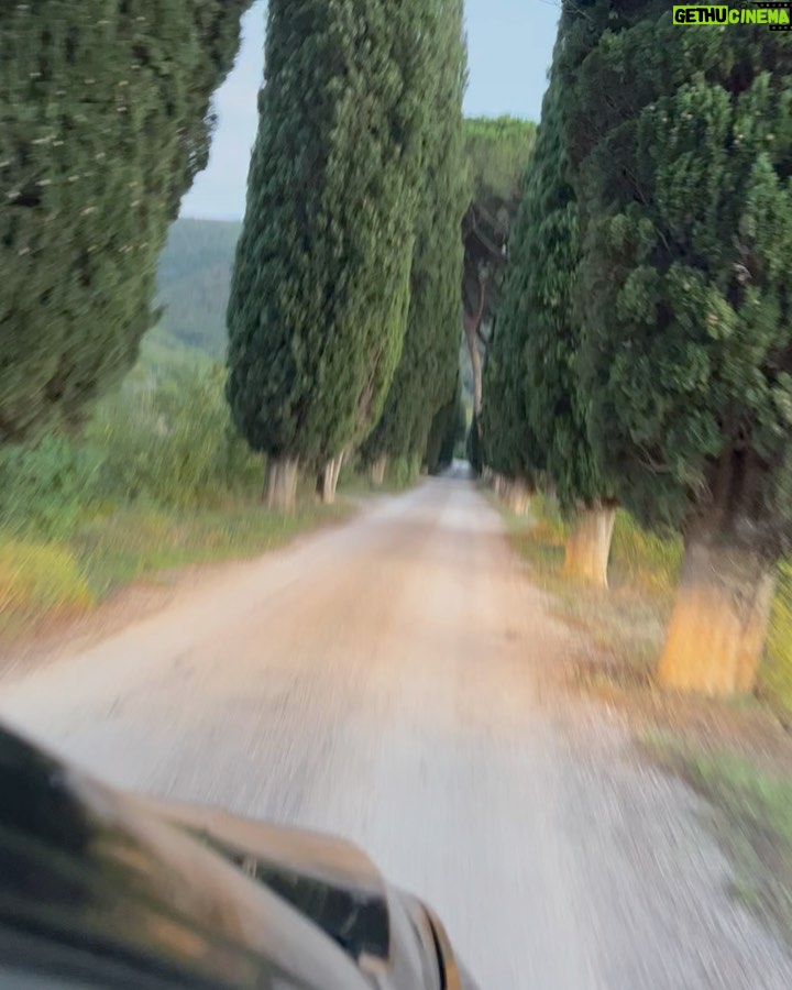 Mark DeCarlo Instagram - Watching my wife’s dream come true, finding her very own Bramasole… . . . . . #villadipiazzano #tablethotels #tablethotel #slh #luxuryvacations #cortona #underthetuscansun #underthetuscansun☀️ #bramasole #francesmayes #globelhotels #findingthetuscansun #italytraveler #italytravel #italytravels #luxuryhotels #luxury-travel #luxurytravel Cortona, Tuscany