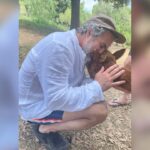 Mark Ruffalo Instagram - We made a new friend