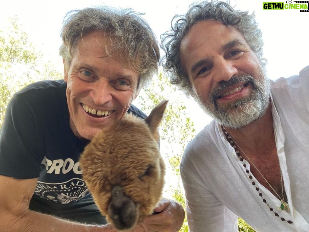 Mark Ruffalo Instagram - We made a new friend