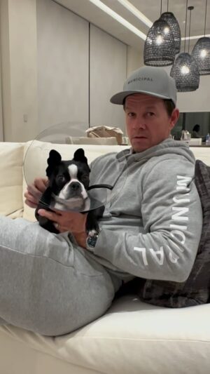 Mark Wahlberg Instagram - Our Lola ❤️🥰 @municipal  @arthurthekingmovie 🐶 Only in theaters March 15th❤️🐶 #MunicipalPartner