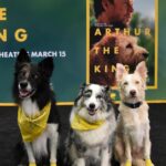 Mark Wahlberg Instagram - Ukai and Arthur looks incredible similar, like twins. It’s not only the look, they walk the same and both have the same extreme calm and spiritual wisdom. Arthur the King, is not your average movie about a dog. It’s a story how life can change in one wind beat and what can happen if you keep fighting and don’t give up. The special Screening with a Dog and Family festival at Westfield Century City from Lionsgate was a fantastic event to celebrate an incredible story with most of the cast and even @simuliu brought @miperrachopa🐕❤️ Arthur the King is on theaters March 15.