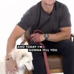 Mark Wahlberg Instagram - Celebrate #ArthurTheKingWeek with the leader of the pack, @markwahlberg.