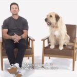 Mark Wahlberg Instagram - Life’s a journey and it’s better with a Best Friend at your side. @bestfriendsanimalsociety has teamed up with @arthurthekingmovie to raise awareness about the importance of pet adoption. Adopt your new adventure buddy at your local shelter and let your story begin. To learn more, see link in bio. #ArthurTheKing is in theaters everywhere on March 15th #savethemall #ArthurTheKingWeek #sponsored